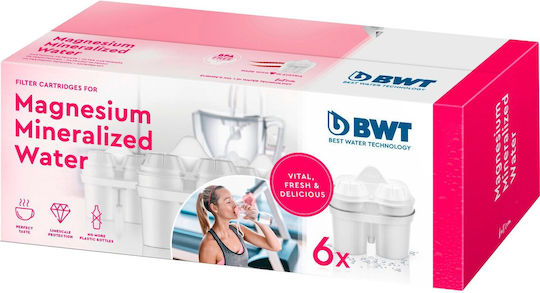 BWT Ersatz-Wasserfilter für Kanne Longlife 6Stück