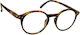 Oramont Reading Glasses +2.50 Coffee Tartaruga ...
