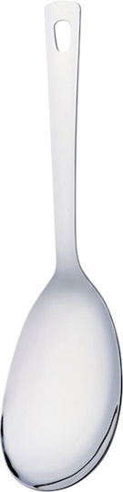 Ready Stainless Steel Silver Sauce Ladle 26cm