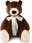 WP Merchandise Plush Bear 49 cm