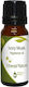 Nature & Body Ivory Musk Αιθέριο Έλαιο 10ml
