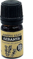 Dioscurides Αιθέριο Έλαιο Λεβάντα 5ml Dioscurides Αιθέριο Έλαιο Λεβάντα 5ml