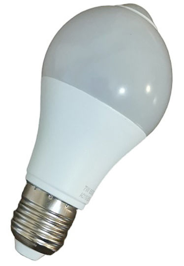 ForHome Λάμπα LED για Ντουί E27 Ψυχρό Λευκό