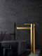 Imex Roma Mixing Tall Sink Faucet Gold