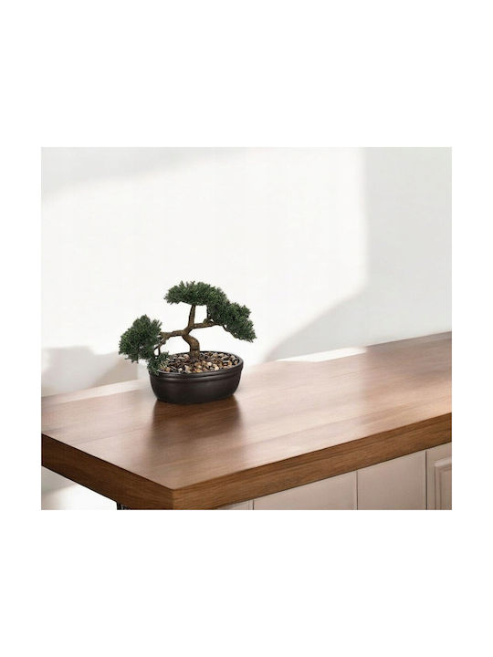 Createur D'interieur Μπονζάι σε Γλαστράκι Μαύρο Atmosphera Createur D'interieur Μπονζάι σε Γλαστράκι Μαύρο Atmosphera