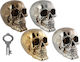 Skull Cutiuta de bani 15cm