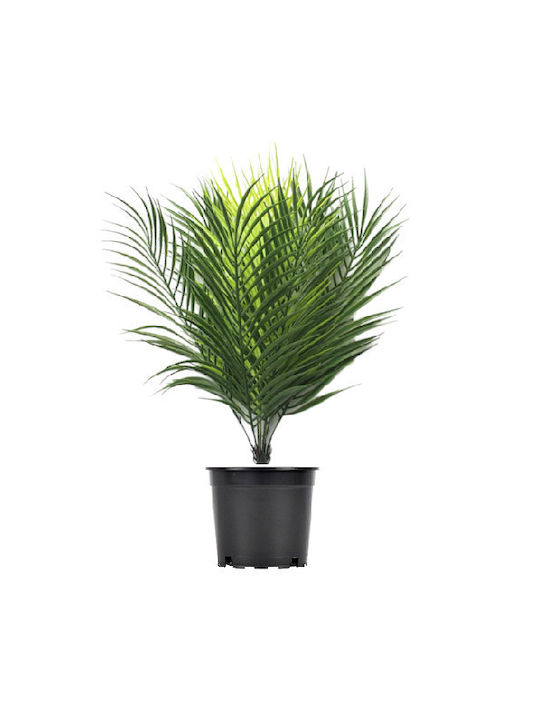 Artificial Palm Leaves in Pot 50cm