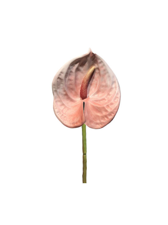 Twig Anthurium Pink 57 cm