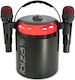 Ibiza Sound Karaoke Speaker with Wireless Micro...