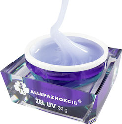 NTN Premium Perfect French Builder Gel Νυχιών C...