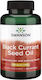 Swanson Black Currant Seed Oil 500mg 180 softgels