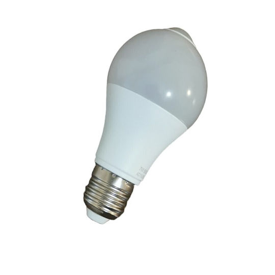 Λάμπα LED για Ντουί E27 Ψυχρό Λευκό