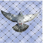 Προστασίας Πουλιά-περιστέρια Δίχτυ Απώθησης