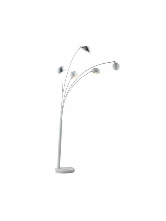 Fan Europe Eracle-pt