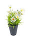 Plantă Artificială în Ghiveci Mic Multicolour 23cm ForHome