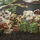 vidaXL Aquarium Dekoration Stein