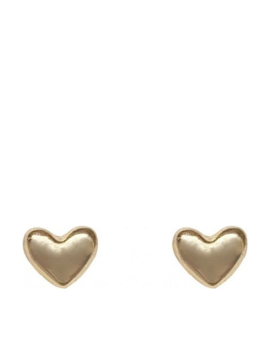 ecarla Earrings Gold Plated
