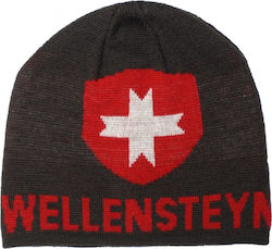 Wellensteyn