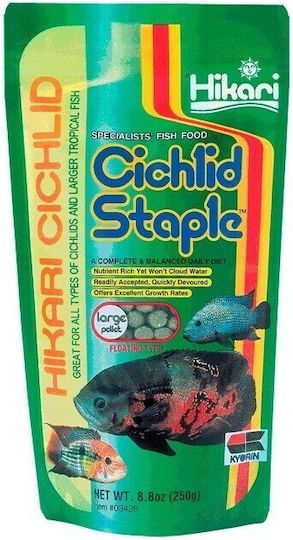 Hikari Staple Large Cichlid Food 250gr