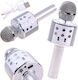 BB-Shop Μικρόφωνο Karaoke Ασύρματο IN0136 σε Ασημί Χρώμα