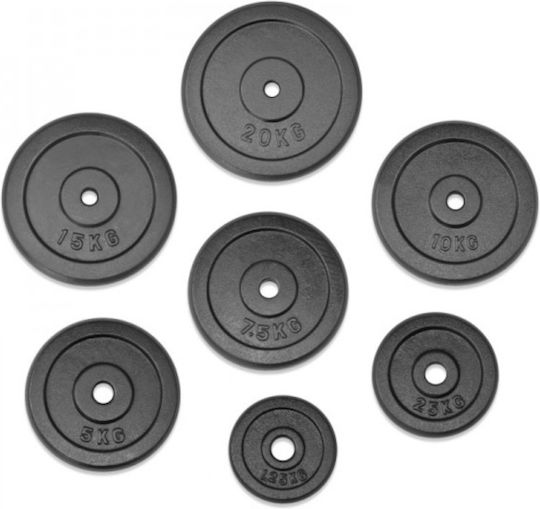 Viking Δίσκος Μεταλλικός 1 x 1.25kg Φ28mm