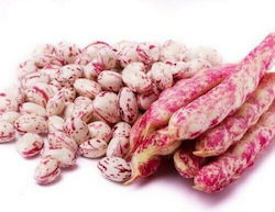 Evotris Seeds Beans 250gr