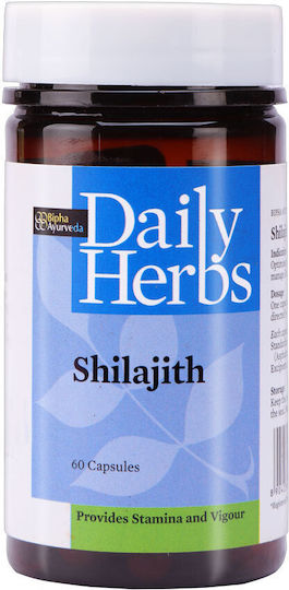 Himalaya Wellness Daily Herbs Shilajith 60 κάψουλες