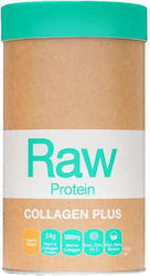 Amazonia Raw Protein Collagen Plus Vanilla/maple 450gr Amazonia Raw Protein Collagen Plus Vanilla/maple 450gr