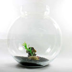 Fish Aquarium Capacity 4.5lt with 22x22x23cm.