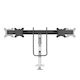Neomounts Βάση Γραφείου για 2 Οθόνες έως 27" Λευκή (DS75S-950WH2)