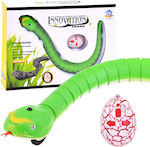 Innovation Snake Remote Controlled Toy Green