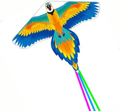 Kite with Tail