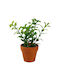 Artificial Plant in Small Pot 17cm 1pcs