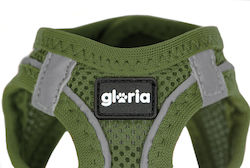 Gloria Dog Leash/Lead Curea in Verde Color