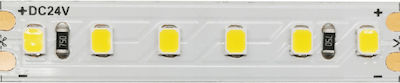 Aca LED Streifen Versorgung 24V mit Warmes Weiß Licht Länge 1m und 120 LED pro Meter SMD2835