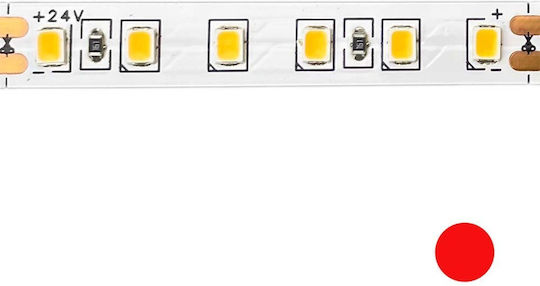 Aca Αδιάβροχη Ταινία LED 24V Κόκκινο Φως 1m