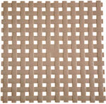 Dimitracas Shower Mat with Suction Cups Brown 54x54cm