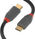 Lindy Anthra USB 2.0 Kabel USB-C männlich - USB-C Power Delivery Schwarz 1m 36901