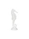 BigBuy Decorative Seahorse Polyresin 11x9x31cm 1pcs