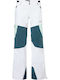 Oakley Phoenix OO5217-00 Pantaloni de schi și snowboard pentru femei Ski & Snowboard Alb