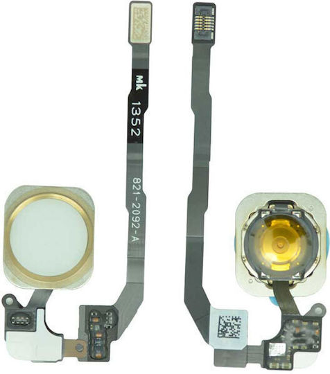 Flex Cable with Home Button in Gold color for IPHONE 5S