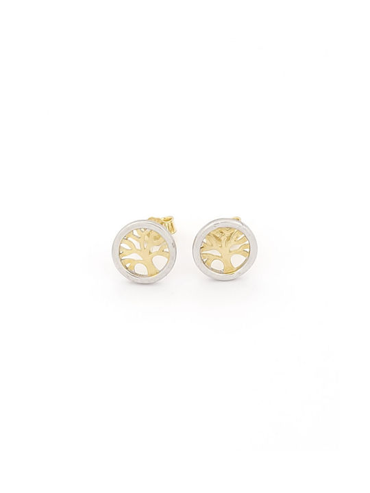 Earrings made of Gold 14K