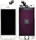 Screen with Touch Mechanism for iPhone 5 (White)