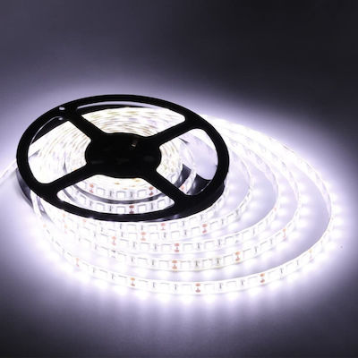 NetOne LED Strip with Motion Sensor