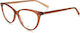Tommy Hilfiger Women's Acetate Cat Eye Brown Pr...