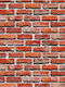 Fototapet de Perete 200x255cm Hârtie Lavabil