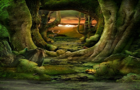 Fototapet de Perete 250x150cm Hârtie Lavabil