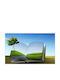 Fototapet de Perete 400x250cm Hârtie Lavabil