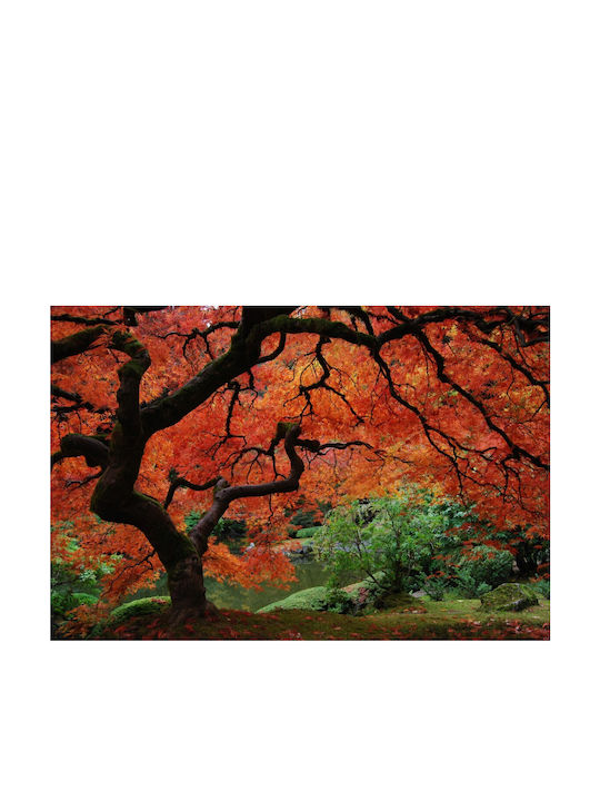 Autocolantă Tapet de Perete 250x150cm Lavabil