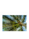 Fototapete Papier L250xB150cm Waschbar FTAP-BBIMG2934
